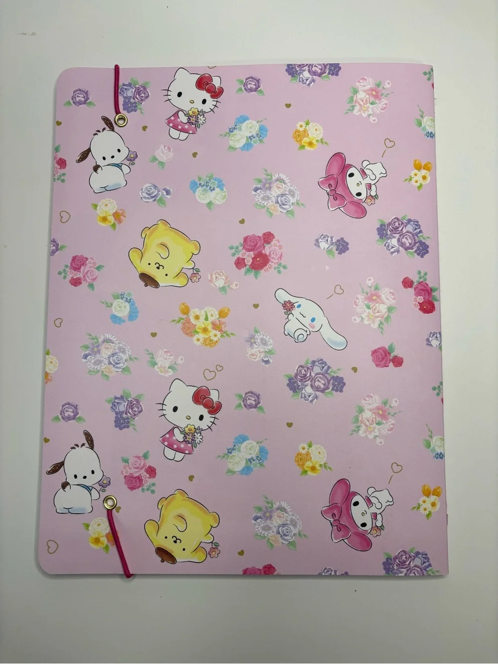 Hello Kitty and Friends Planner 2027